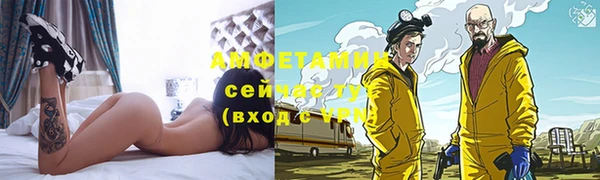 прущие грибы Аркадак