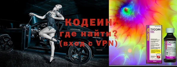 прущие грибы Аркадак