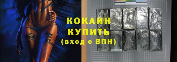 прущие грибы Аркадак