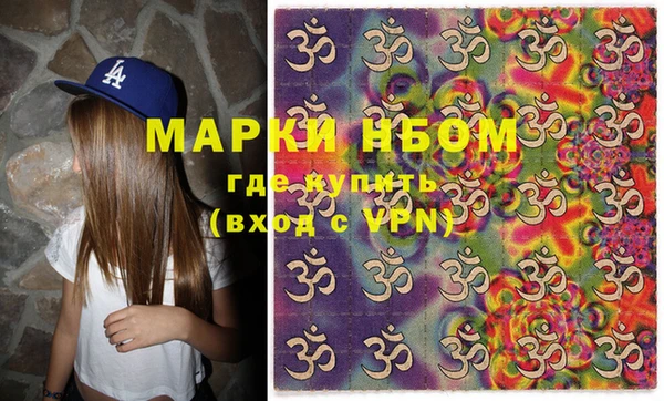 прущие грибы Аркадак