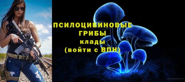 соль курить ск Арсеньев