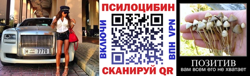 даркнет сайт  Щигры  Галлюциногенные грибы Cubensis 